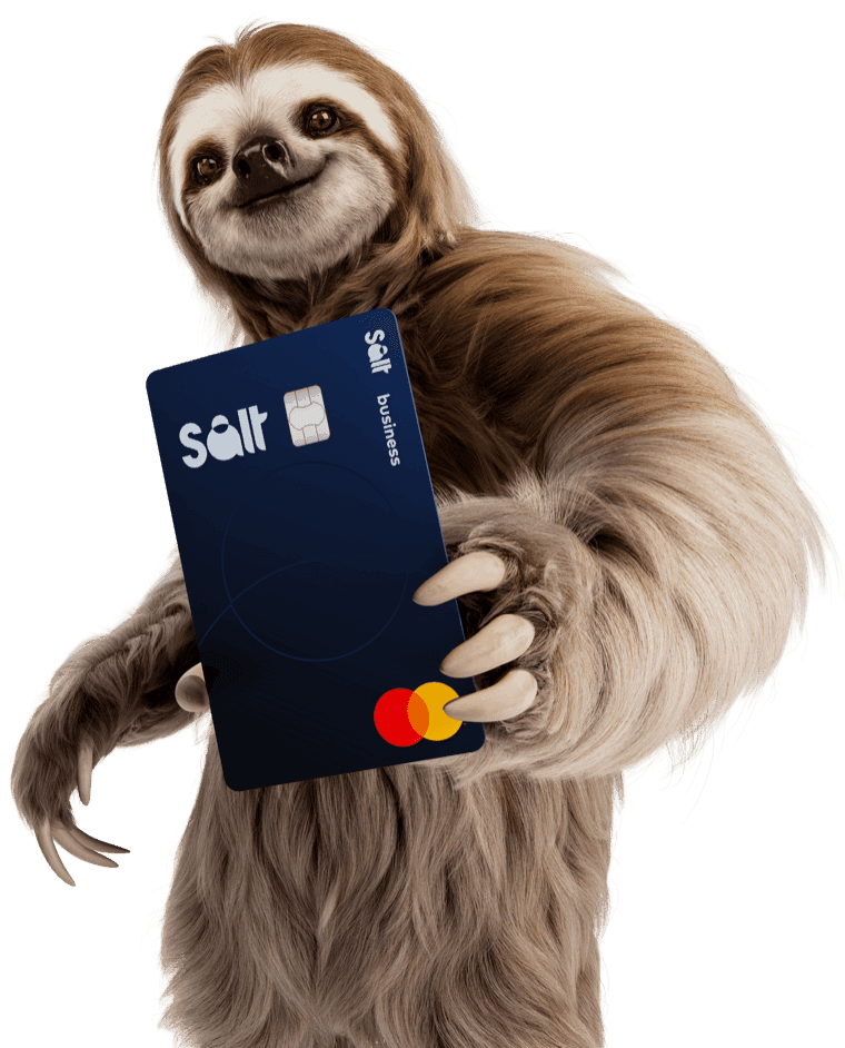 Salt Business